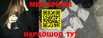 тгк Бердск