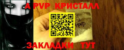 тгк Бердск