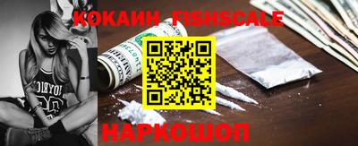 тгк Бердск