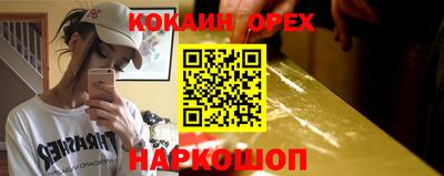 тгк Бердск