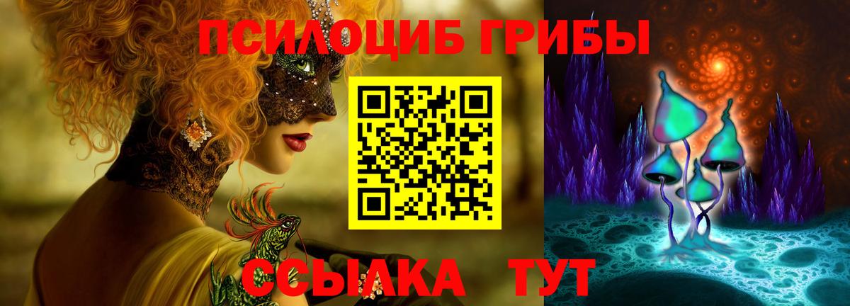 Псилоцибиновые грибы GOLDEN TEACHER Аргун