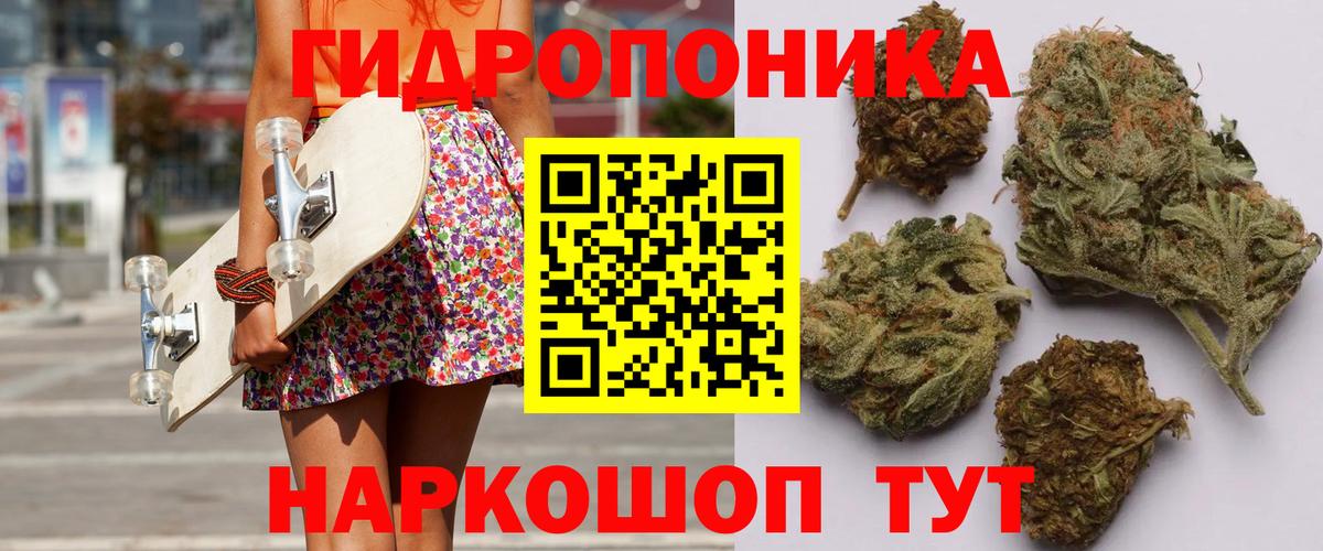 Аргун  Канабис сатива  МАРИХУАНА VHQ  Каннабис индика  Вход с VPN 